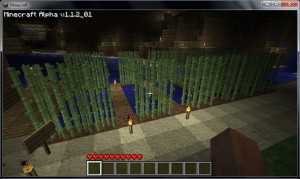 Minecraft - Plantation de bambou