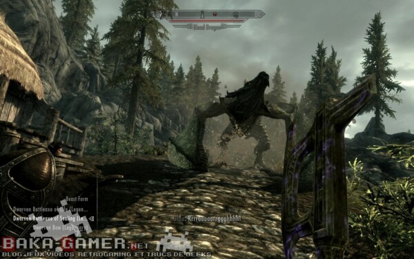 The Elder Scrolls V Skyrim – L’aspirateur à vie sociale